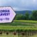 2026 North Georgia Grape Harvests, Stomps & U-Pick
