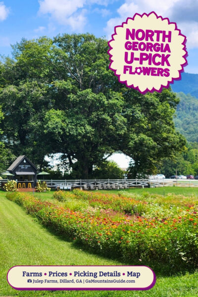 North Georgia U-Pick Flowers Julep Farms