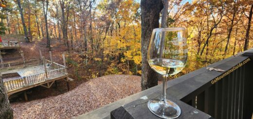 Feather's Edge Vineyards Fall Wine Wooded Deck Ball Ground GA