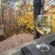 Feather’s Edge Vineyards in Ball Ground, GA