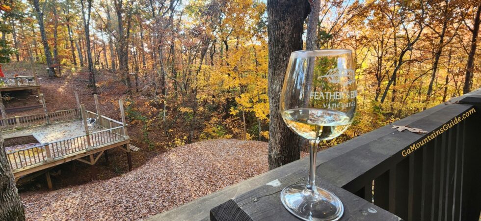 Feather's Edge Vineyards Fall Wine Wooded Deck Ball Ground GA