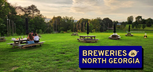 Breweries in North GA - NoFo Brewing in Cleveland
