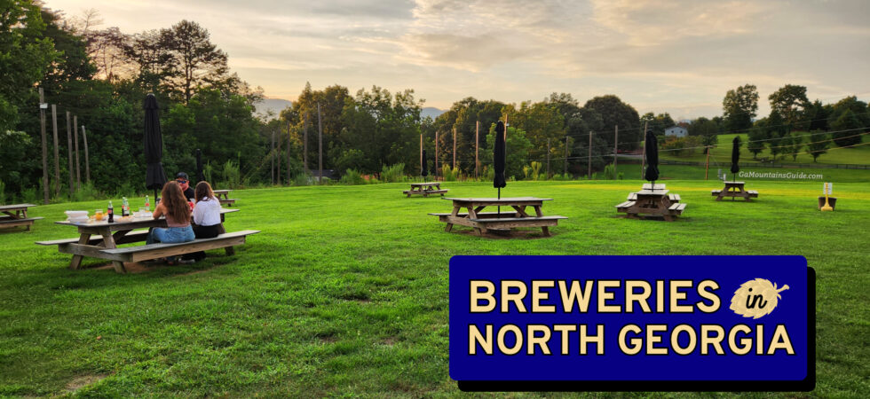Breweries in North GA - NoFo Brewing in Cleveland