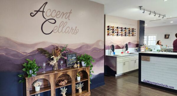 Accent Cellars mountain mural and wine counter in Dahlonega, Georgia