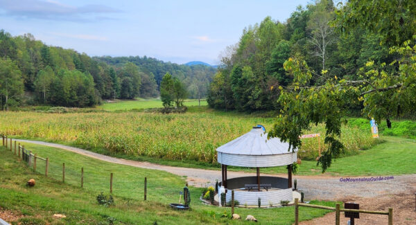 Cress Creeks Farm Ellijay Corn Maze in 2025