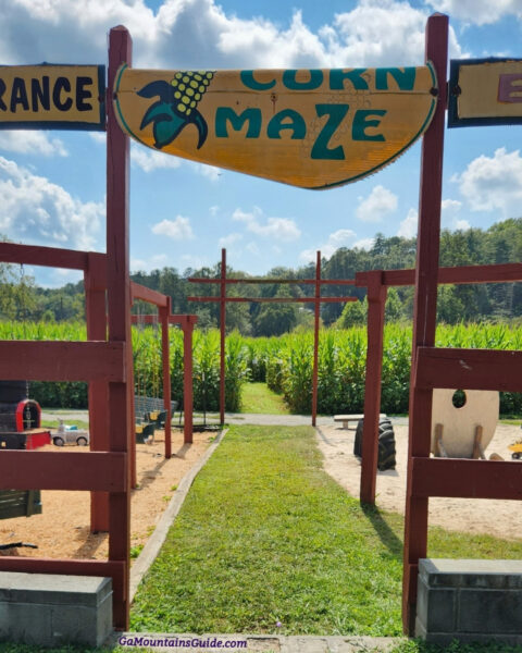 Corn Maze sign above a grassy path leading through Hillside Orchard Farms’ outdoor play area toward the cornfield.