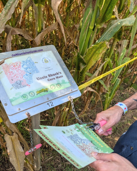 Man punches maze cards beside a numbered map station at Uncle Shuck’s corn maze.